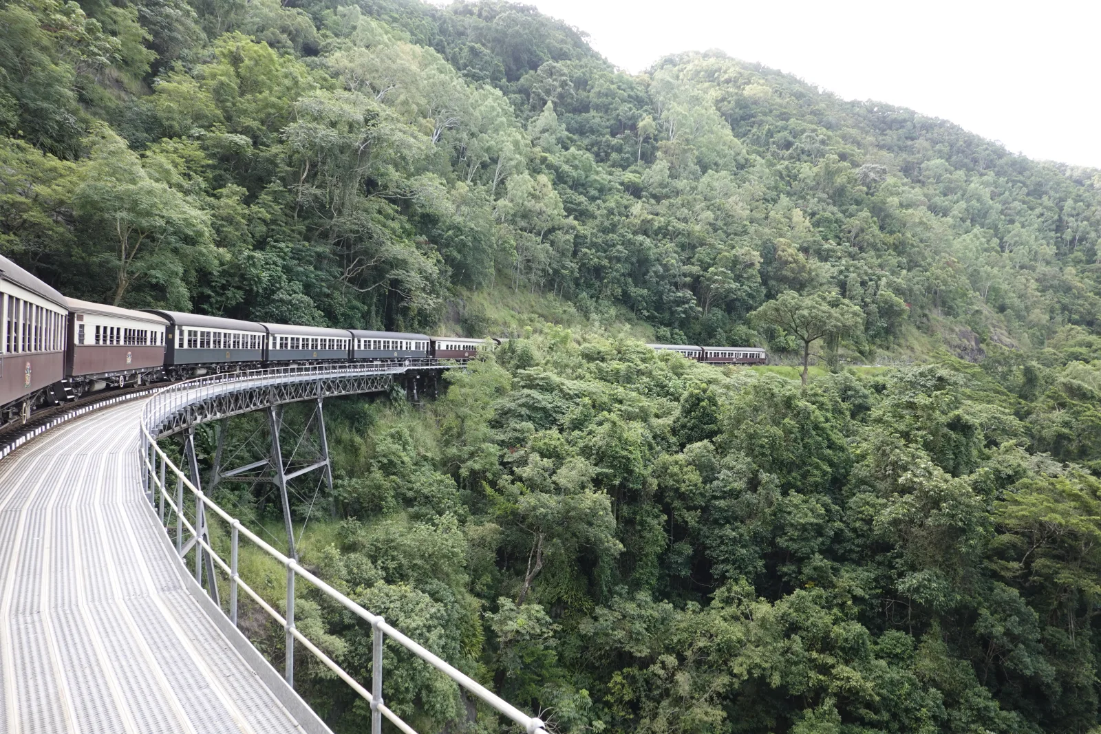 熱帯雨林の中をカーブしながら走るキュランダ高原列車
