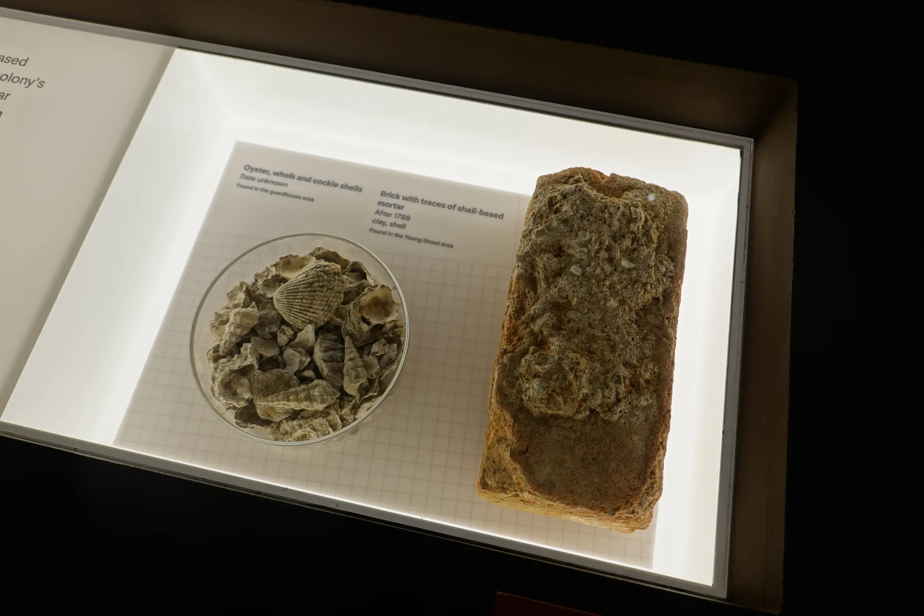牡蠣の殻と貝殻由来の石灰を使ったモルタルを比べるシドニー博物館の展示