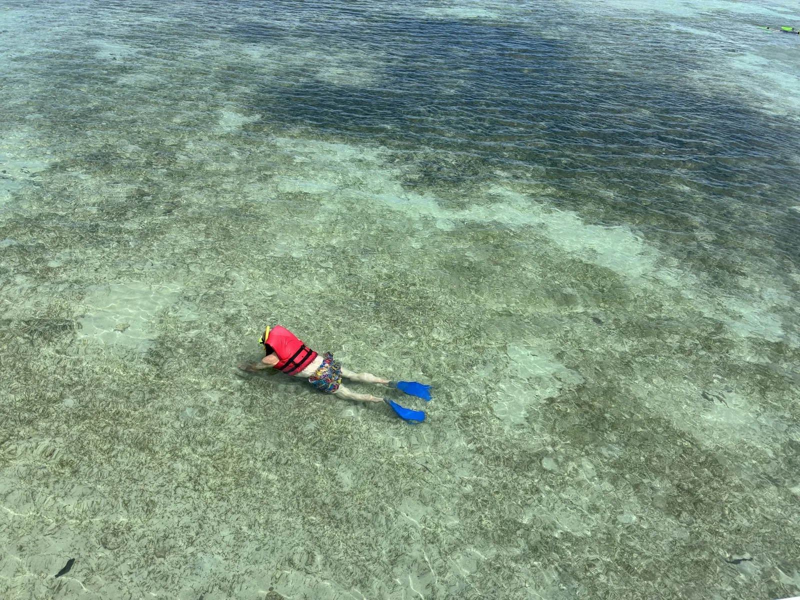 Snorkellers in the shallow water around Green Island near Cairns