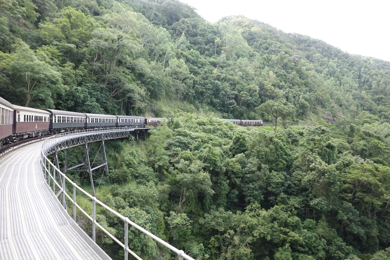 Kuranda Scenic Railway travelling through the rainforest